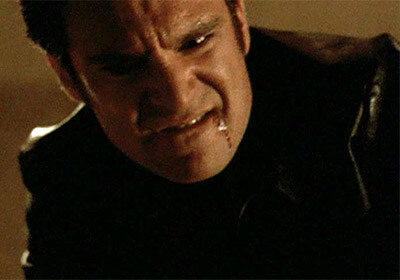 Animal I Have Become